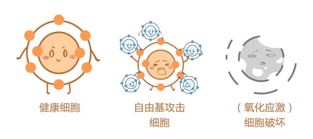 微信图片_20210726164016.jpg